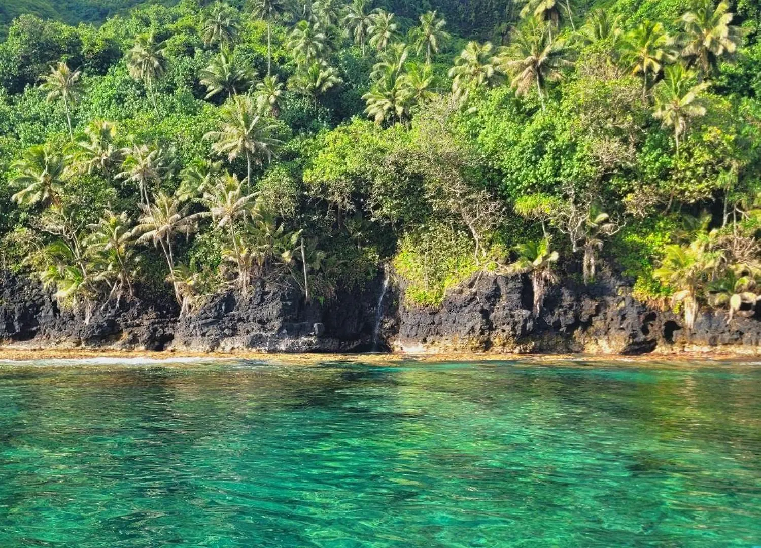 Teahupo'O Lodge, Fare Raepu'U, L'Aventure Du Bout De L'Ile En Famille Ou Entre Amis Teahupoo 0*,  French Polynesia